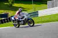 Vintage-motorcycle-club;eventdigitalimages;mallory-park;mallory-park-trackday-photographs;no-limits-trackdays;peter-wileman-photography;trackday-digital-images;trackday-photos;vmcc-festival-1000-bikes-photographs